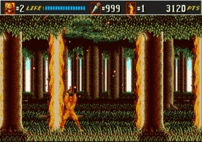 Shinobi III